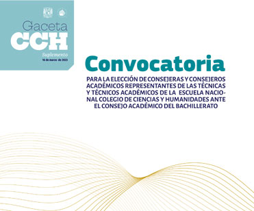 Consejo Técnico Técnico Académico