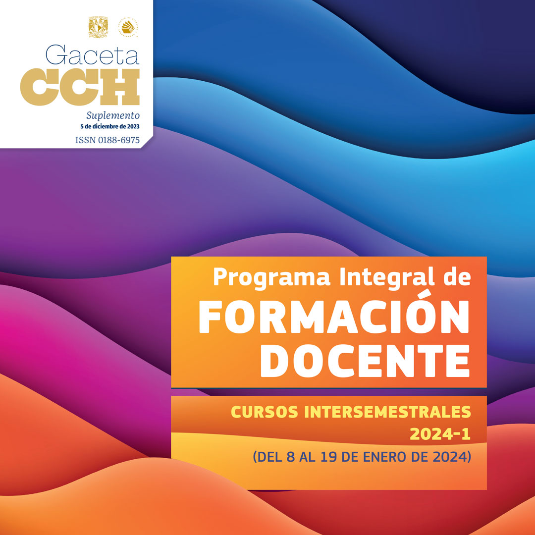 programa integral de formación docente