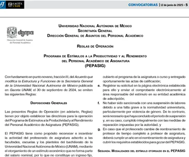 Reglas PEPASIG 2025-2